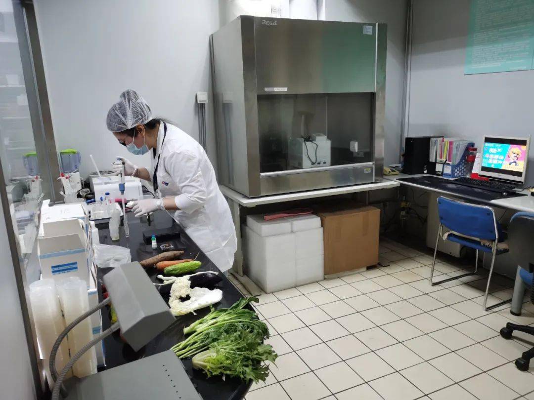 绥宁食品检测实验室装修方案